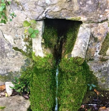 Ancient Spring’s Water Used for Best Coffee in Trieste