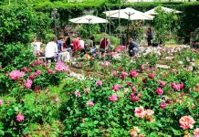 Parco San Giovanni Restarts Weekly Cultural Events