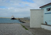 Trieste Calls Liverpool