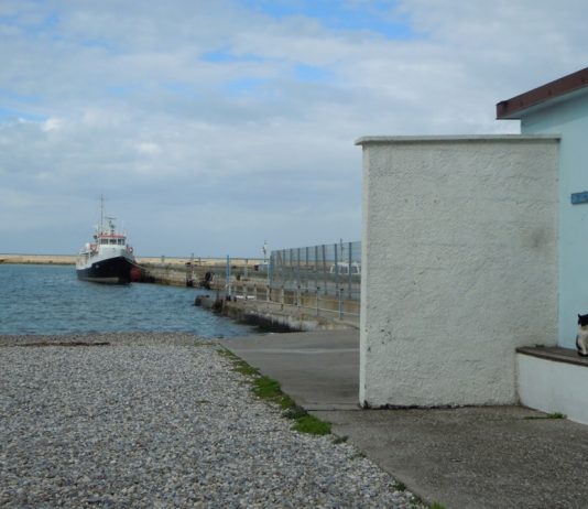 This Summer, Trieste Turns the Beach Into a Reading Room