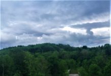 Queen of the Forest: a Hilarious Account from Friuli, Part Two