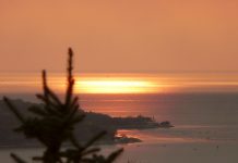 Via Commerciale in the ’60