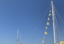 Trieste Sea “Not Polluted”