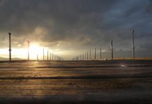 Trieste – Liverpool, the 80’s