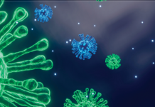 Workshop on Epidemological Surveillance Capacity to Address Epidemics: an Italo-Moldovan Cooperation