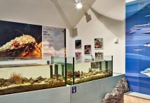 BioMa Celebrates 35th Birthday With Two Days of Events