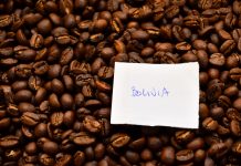 Trieste Opens Its Doors to the Global Coffee Industry at TriestEspresso Expo