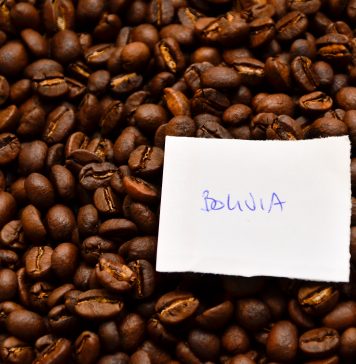 Trieste Opens Its Doors to the Global Coffee Industry at TriestEspresso Expo