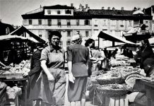 Triestine Publishing House Needs Information About Sarah Davis