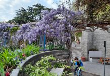 Italian Kids To Have Both Parents’ Names