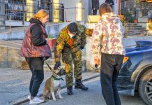 Extension of Stay Permits for Ukrainian Citizens in Italy: Effortless Renewal Process Introduced