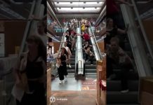 Ulysses Chapter 8 Flash Mob at Eataly, Trieste