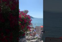 Locals Enjoying Sunny Summer Sunday in Sistiana