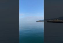 Sublime Triestine Mornings