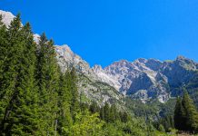 Friuli Venezia Giulia Charts Bold Economic Future with New Strategic Export Plan