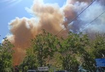 Flames in Carso Near Slovenian Border, Villages to Be Evacuated