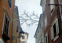Muggia: Festive LED Lights On