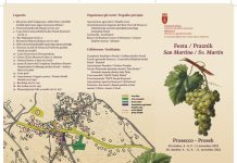 The Week Of St Martin’s Feast in Trieste