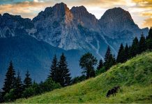 Global Flavors and Folk Rhythms Mark Summer Solstice in Friuli