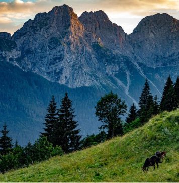 Friuli Venezia Giulia Allocates €265,000 to Support German-Speaking Minority Communities