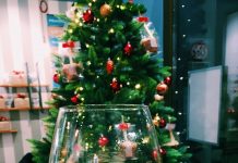 10 Most Festive Sips in Trieste This Christmas Season