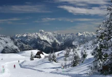 Zoncolan Ski Hub Breaks Records with a 24% Increase in Visitors