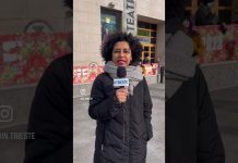 Monica Goti Presents The Trieste Film Festival