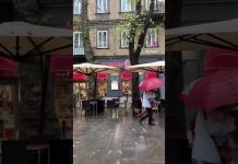 Rain’s Back In Trieste