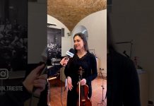 Music Rooms At The Schmidl Museum