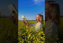 Did You Get Your Spring InTrieste Magazine Yet?