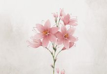 Guide To Celebrating Mother’s Day In Trieste