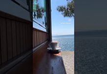 Magnificent Monday In Trieste