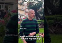 Cannes 2023: Interview With Gianluca Novel from the Friuli Venezia Giulia Film Commission