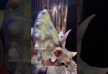 Dinosaur Show Live At The Rossetti