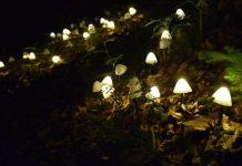 A Natural Immersion At Nightfall: Ampezzo’s Lumina Milia