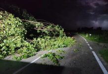 Local Communities in Shatters After Recent Storms Hit Friuli Venezia Giulia