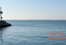 ‘Fish Very Good’ 2023 Edition Kicks Off Today