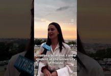 Weekend Night Bus Service On Demand To Make Trieste Even Safer