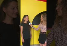 Tonight At The Miela Theater: Corvidae Sguardi Di Specie