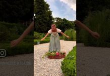 Il Rossetti’s ‘Green Shakespeare’: What Dreams Are Made Of