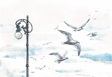 7 Things To Do On A Rainy Day In Trieste