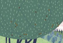 Alpine Summer Retreats In Fruili Venezia Guilia