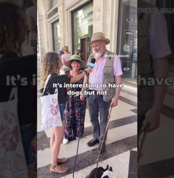 Why Do Trieste Locals Choose Dogs As Their Pets?