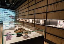 Interview With ITS Arcademy’s Director Barbara Franchin