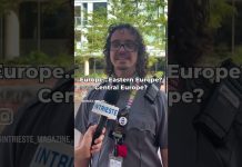 U.S. Interviews: Where Is Trieste?