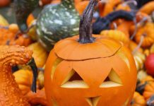 Do Trieste Dwellers Celebrate Halloween?