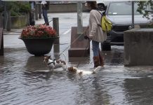 Friuli Venezia Giulia Unveils Permanent Fund to Confront Extreme Weather