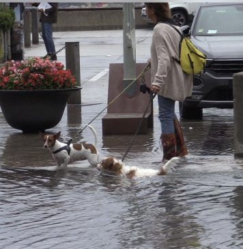 Heavy Rain Causes Flooding and Mudslides in Friuli Venezia Giulia