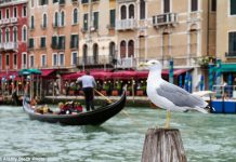 Venice Breaks Ground as World’s First City to Impose Daytripper Fee