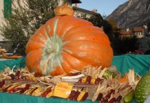 Friuli Venezia Giulia: The Pumpkin Festival of Venzone Celebrates Fall This Weekend